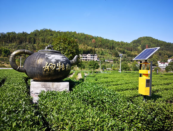 風吸式太陽能殺蟲燈